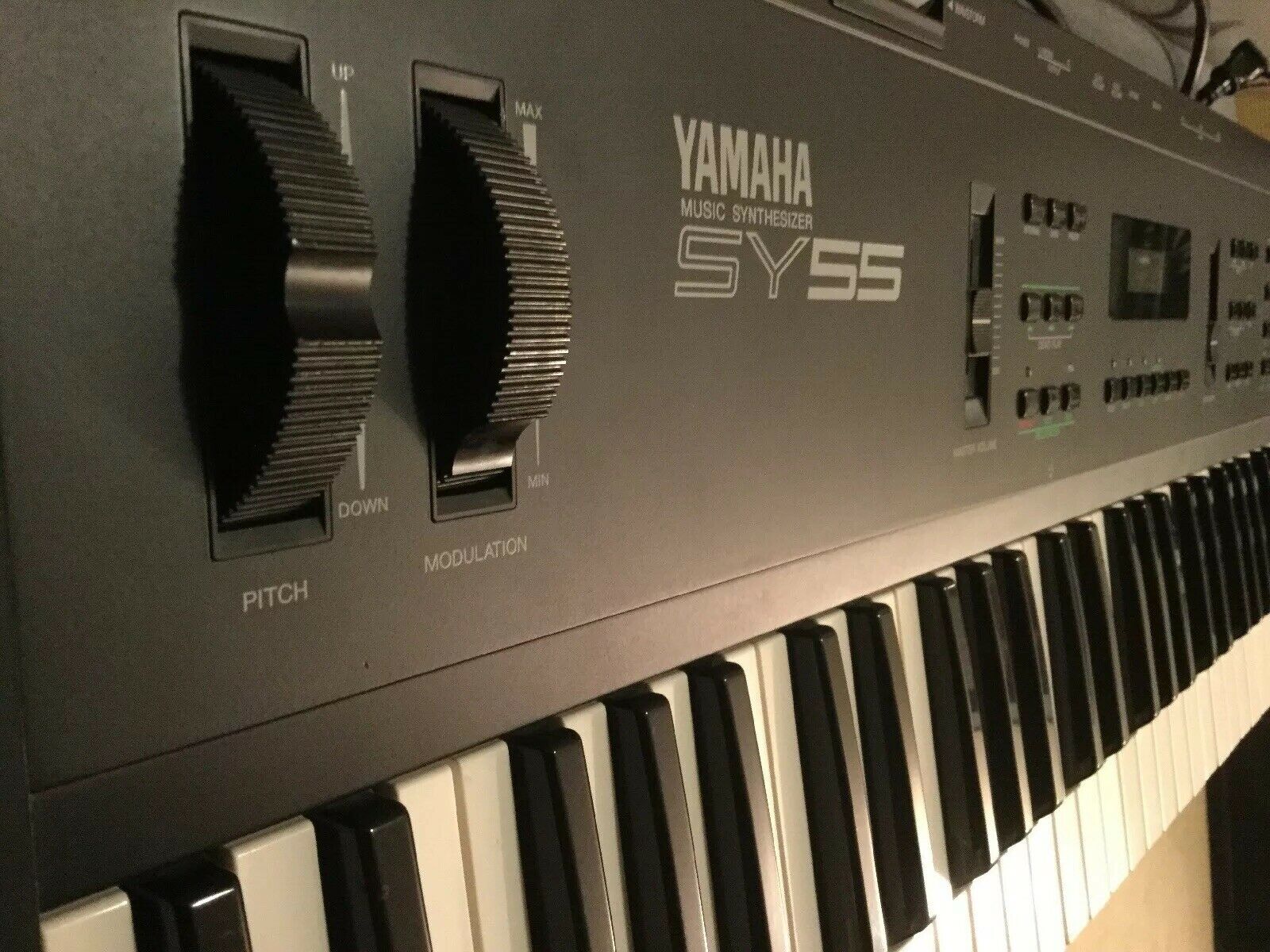 SY55 Synthfind