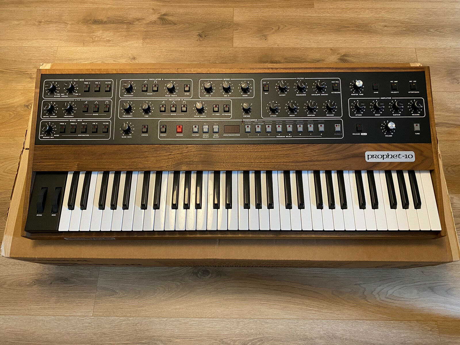 Prophet 10 Synthfind